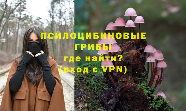 гидропоника Белокуриха