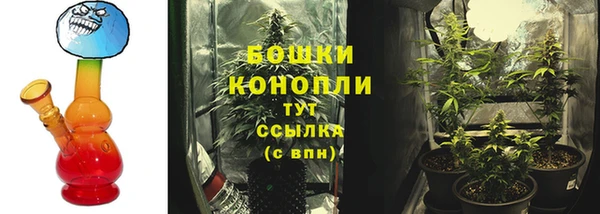 мяу мяу мука Тихвин