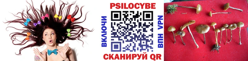Псилоцибиновые грибы GOLDEN TEACHER Волчанск